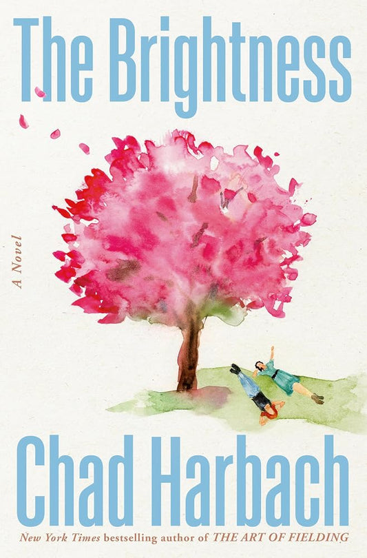 The Brightness: A Novel cover image