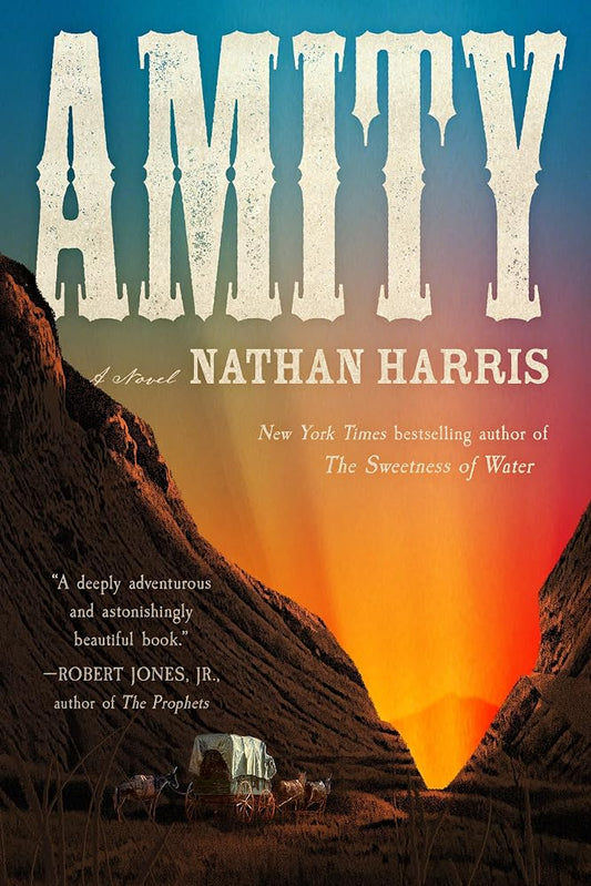 Amity: A Novel cover image