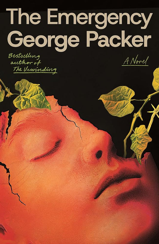 The Emergency: A Novel cover image