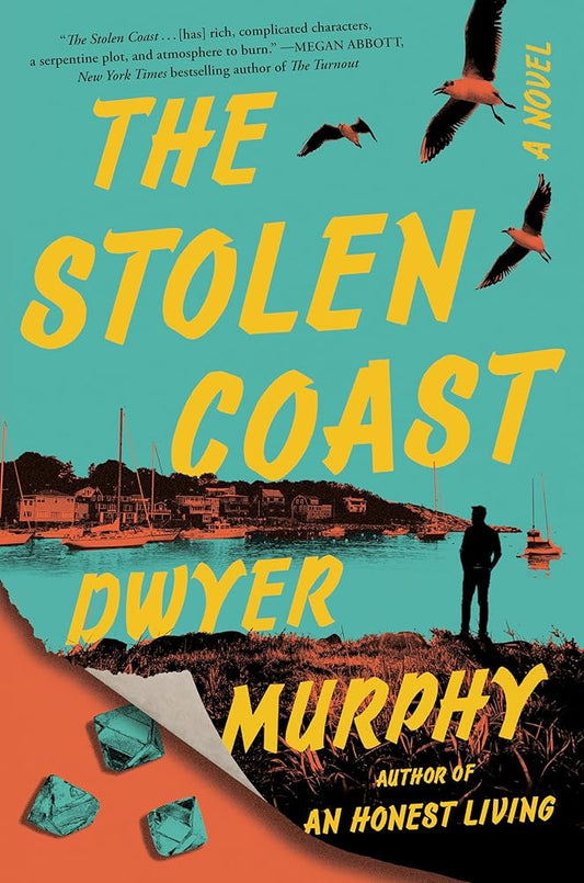 The Stolen Coast: A Novel cover image