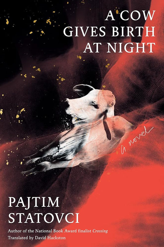 A Cow Gives Birth at Night: A Novel cover image