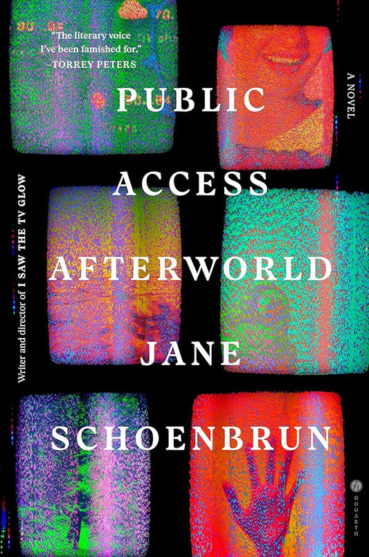 Public Access Afterworld: A Novel cover image