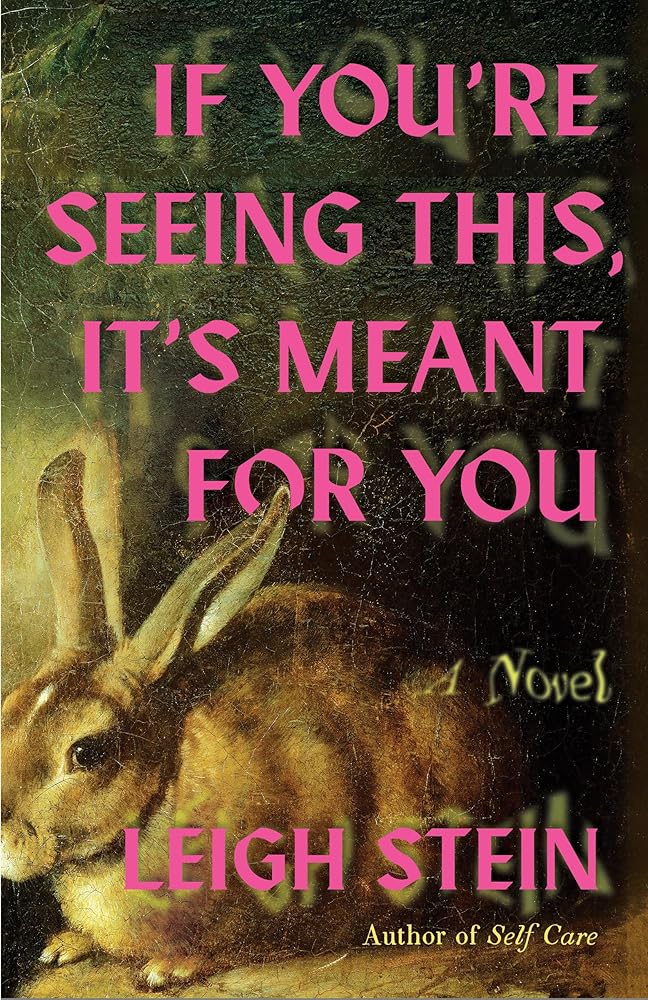 If You're Seeing This, It's Meant for You: A Novel cover image