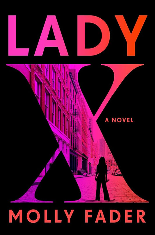 Lady X: A Novel cover image
