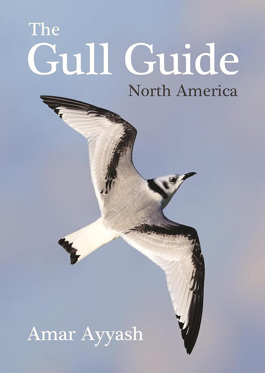 The Gull Guide: North America cover image