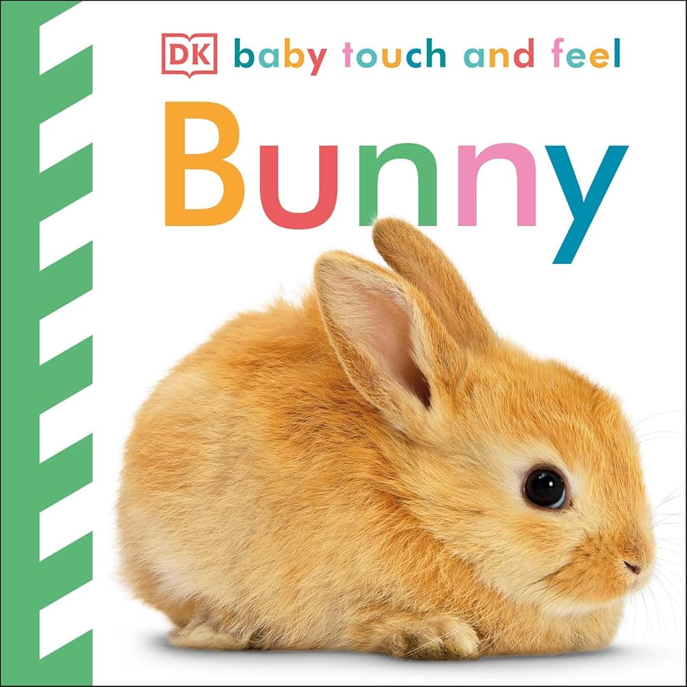 Baby Touch and Feel: Bunny cover image