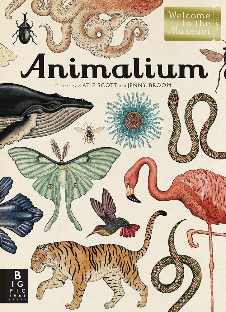Animalium: Welcome to the Museum cover image