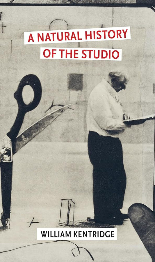 A Natural History of the Studio cover image