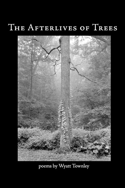 The Afterlives of Trees cover image