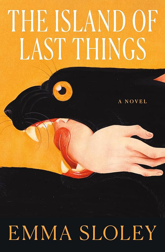 The Island of Last Things: A Novel cover image