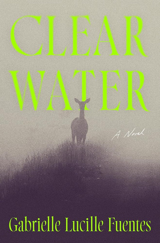 Clear Water: A Novel cover image