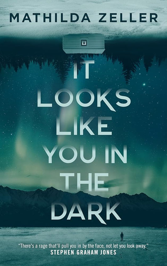 It Looks Like You in the Dark cover image