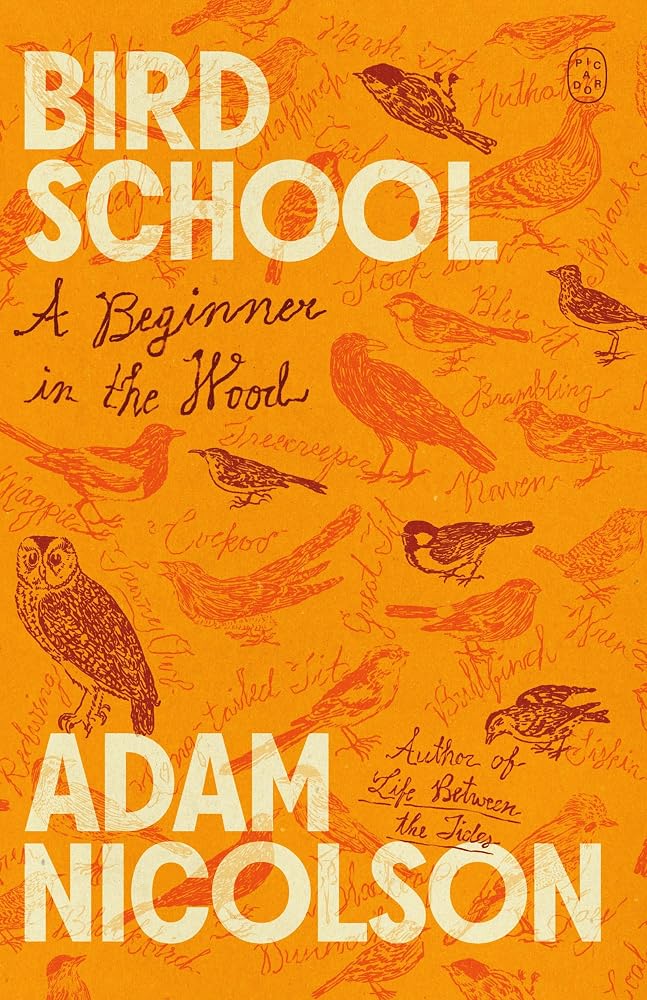 Bird School: A Beginner in the Wood cover image