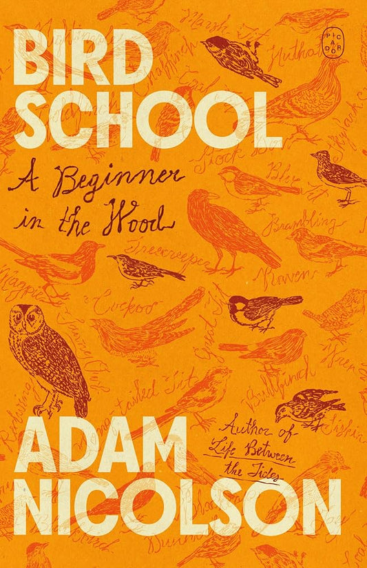 Bird School: A Beginner in the Wood cover image