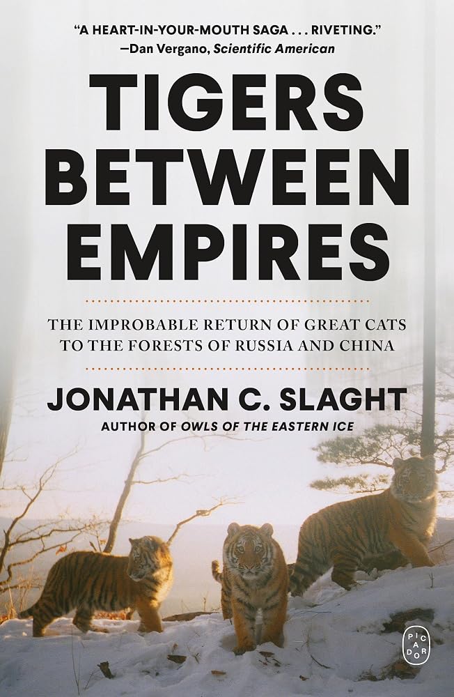 Tigers Between Empires: The Improbable Return of Great Cats to the Forests of Russia and China cover image