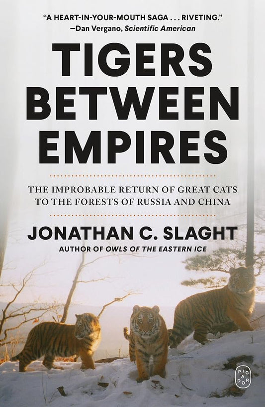 Tigers Between Empires: The Improbable Return of Great Cats to the Forests of Russia and China cover image