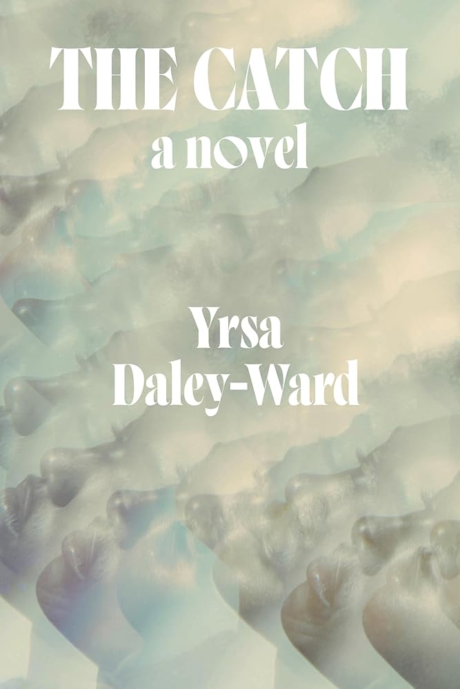 The Catch: A Novel cover image