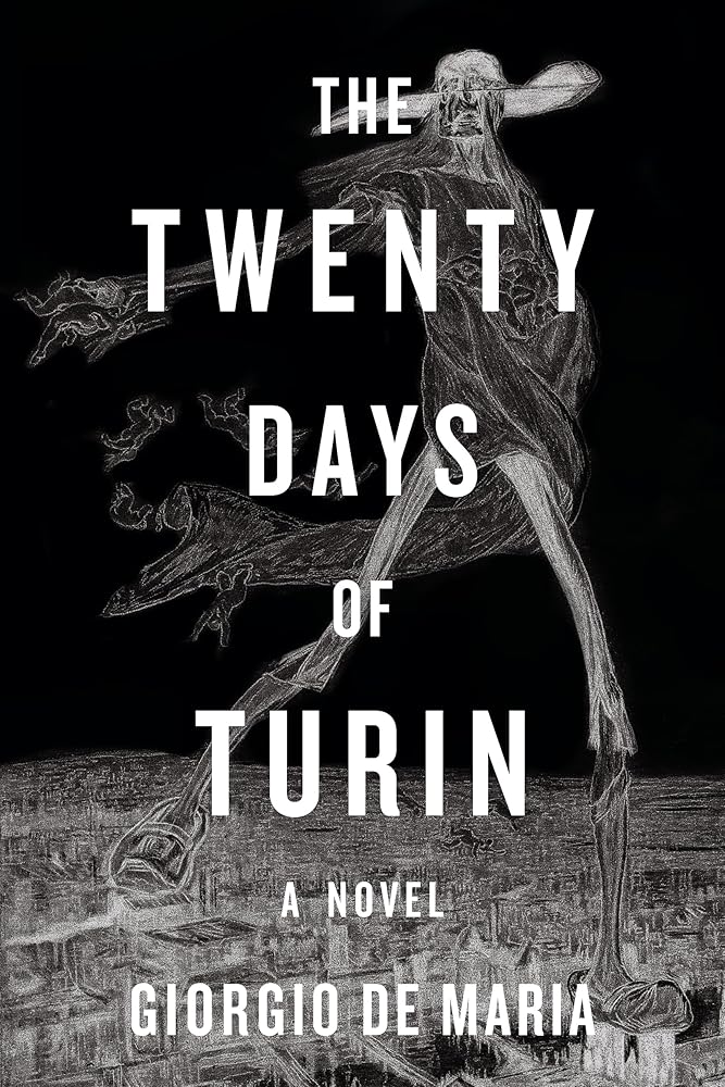 The Twenty Days of Turin: A Novel cover image