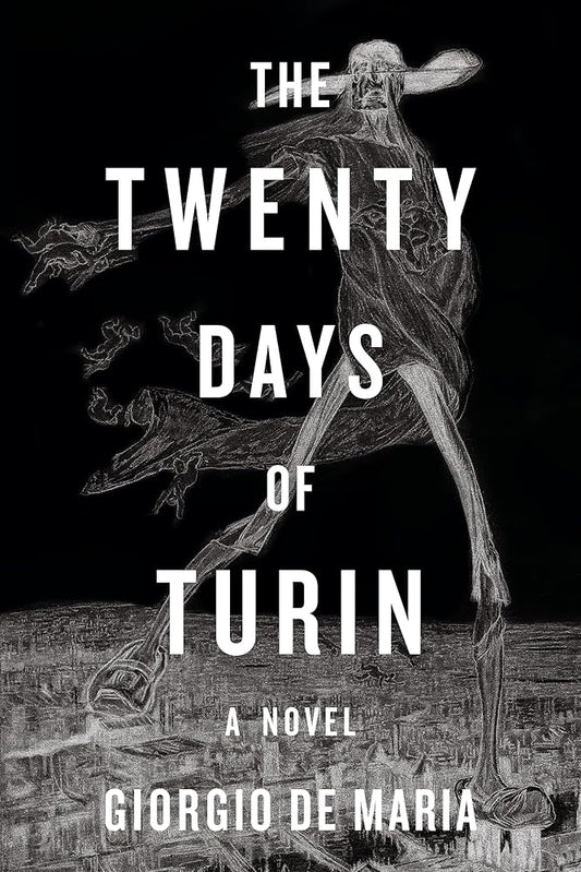 The Twenty Days of Turin: A Novel cover image