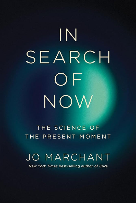 In Search of Now: The Science of the Present Moment cover image