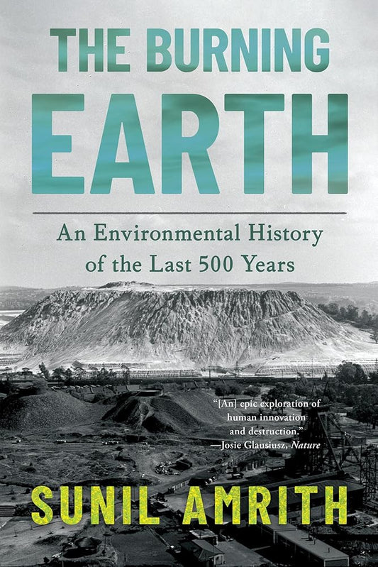 The Burning Earth: An Environmental History of the Last 500 Years cover image