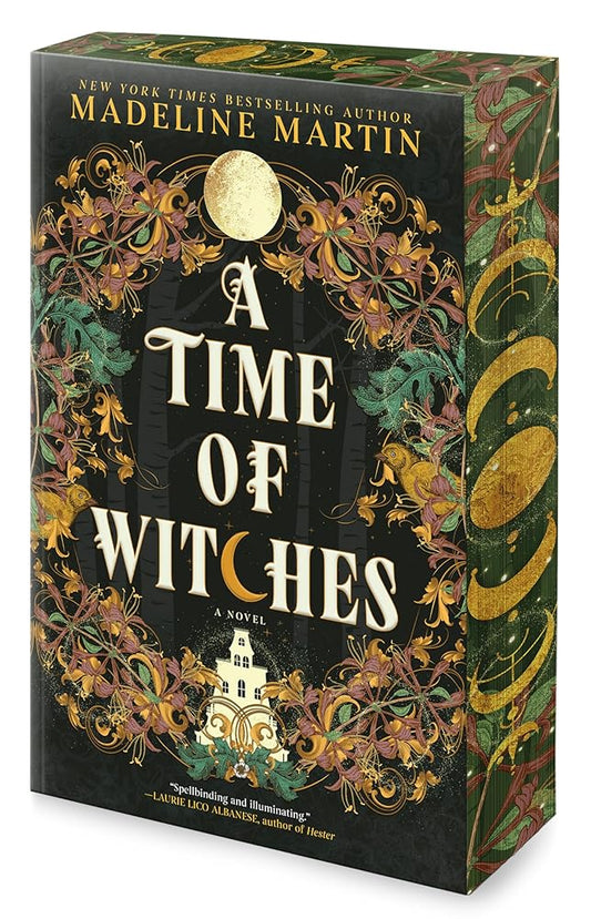 A Time of Witches: A Gothic Historical Mystery of Family Secrets and Witchcraft cover image