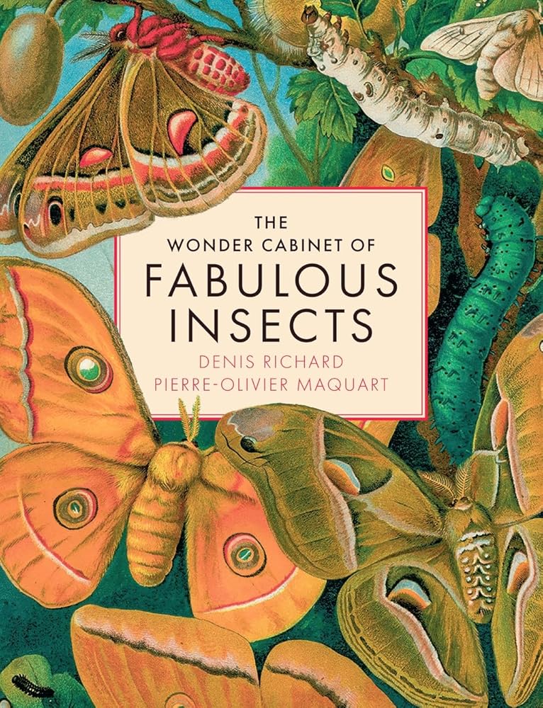 The Wonder Cabinet of Fabulous Insects: Secrets of the World’s Rarest and Strangest Insects cover image