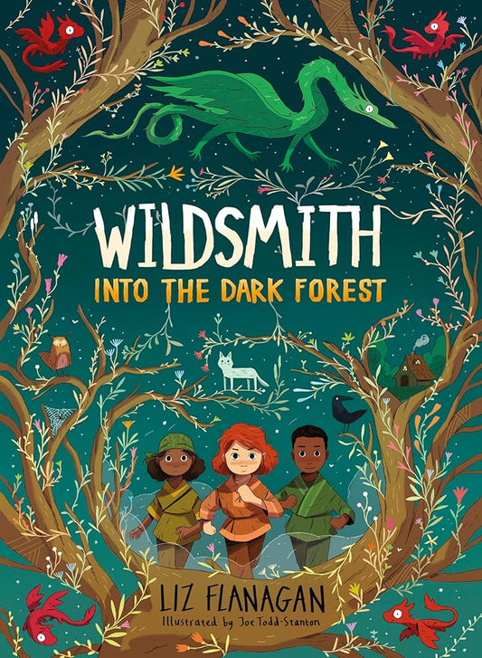 Into the Dark Forest (Wildsmith) cover image