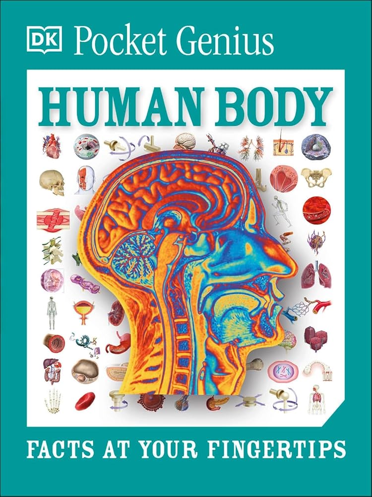 Pocket Genius: Human Body: Facts at Your Fingertips cover image