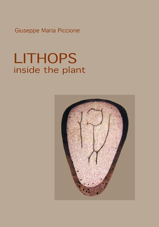 Lithops inside the plant cover image