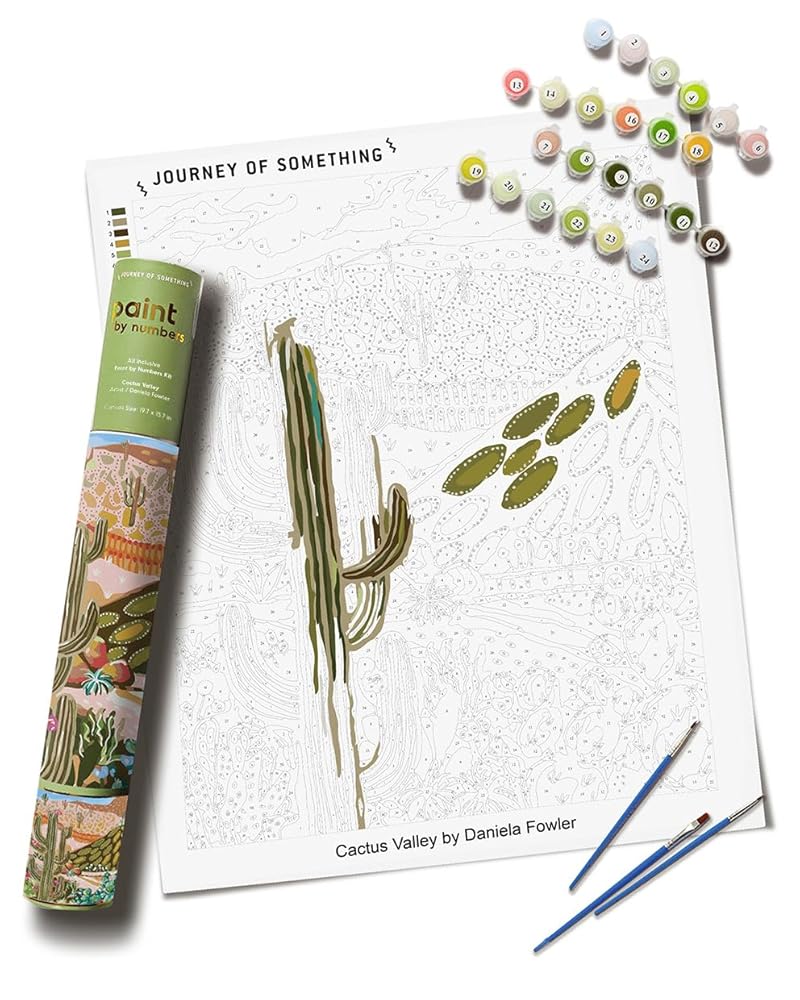 Cactus Valley Paint by Numbers Kit & Canvas - Diy Adult Craft Kit - Artist Designed cover image