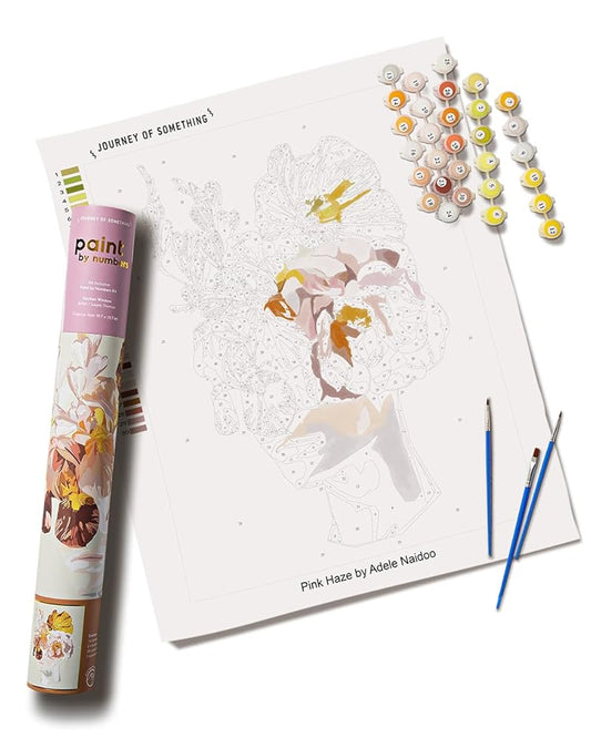 Pink Haze Paint by Numbers Kit & Canvas - DIY Adult Craft Kit - Artist Designed cover image