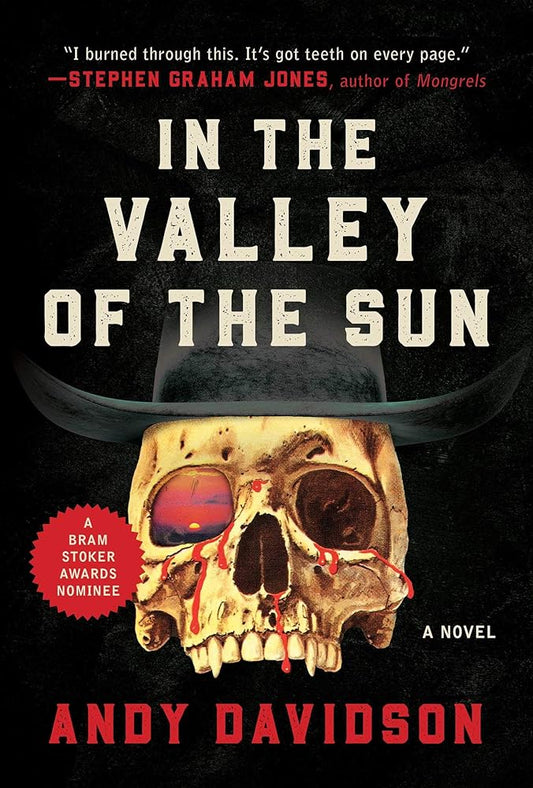 In the Valley of the Sun: A Novel cover image