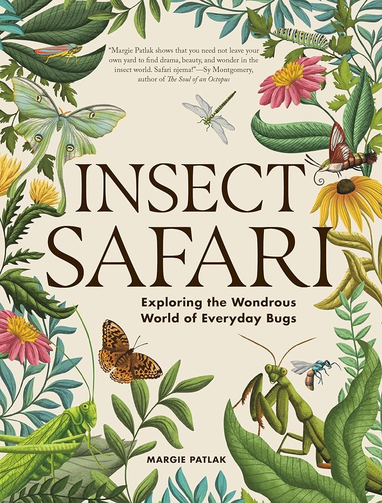 Insect Safari: Exploring the Wondrous World of Everyday Bugs cover image