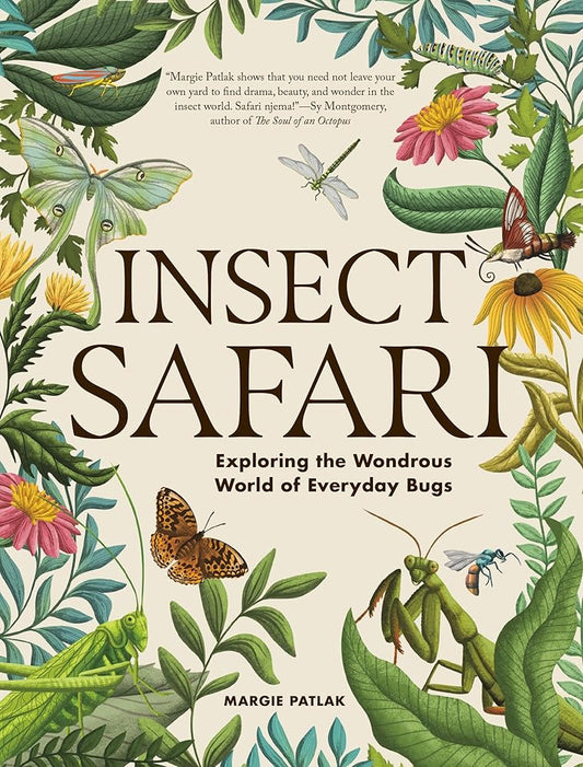 Insect Safari: Exploring the Wondrous World of Everyday Bugs cover image