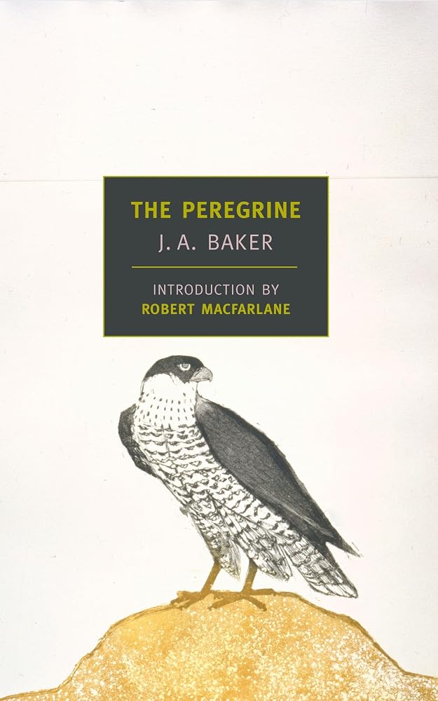 The Peregrine (New York Review Books Classics) cover image