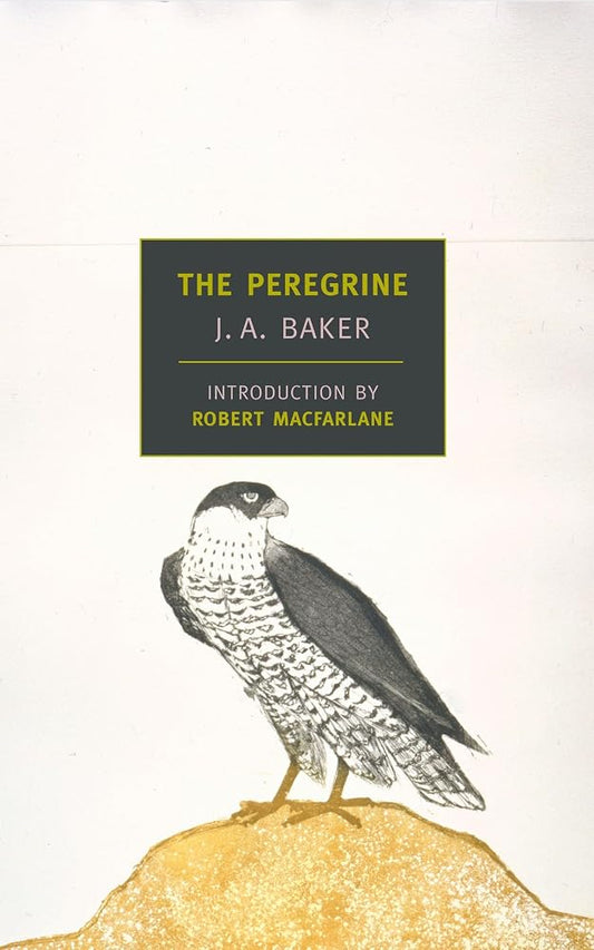 The Peregrine (New York Review Books Classics) cover image