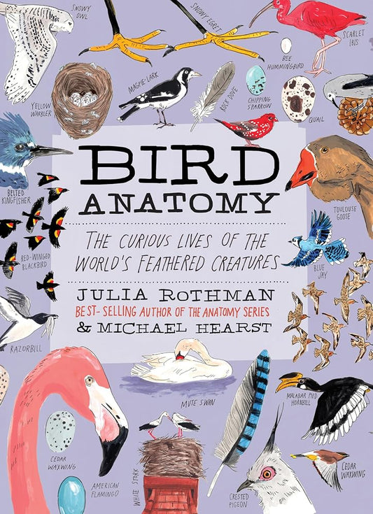 Bird Anatomy: The Curious Lives of the World's Feathered Creatures cover image