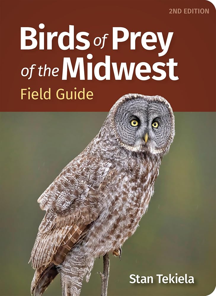 Birds of Prey of the Midwest Field Guide (Bird Identification Guides) cover image