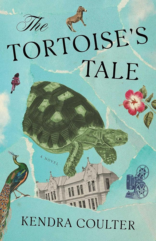The Tortoise's Tale: A Novel cover image