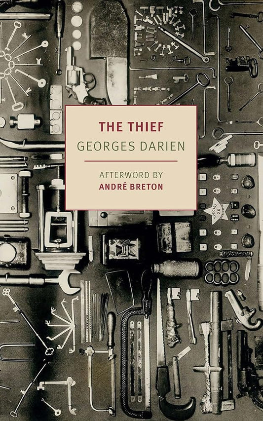 The Thief cover image