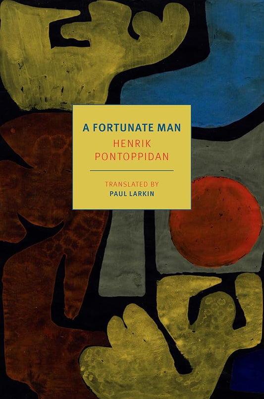 A Fortunate Man cover image
