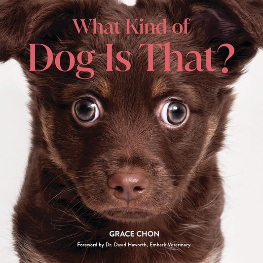 What Kind of Dog Is That? cover image