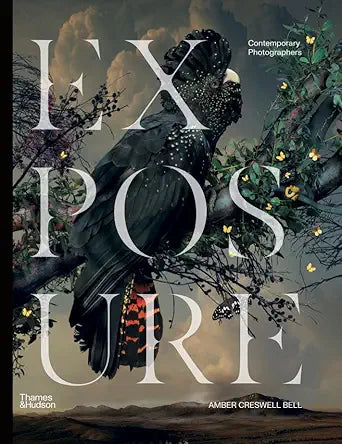 Exposure: Contemporary Photographers cover image