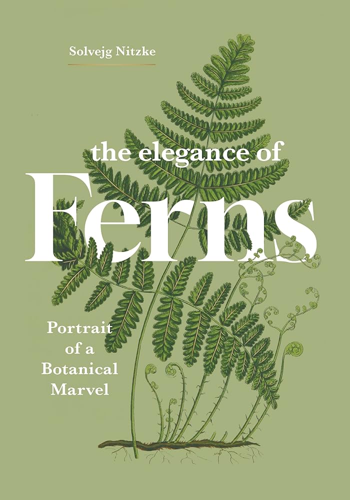 The Elegance of Ferns: Portrait of a Botanical Marvel: 3 cover image