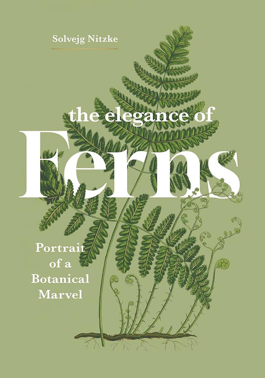 The Elegance of Ferns: Portrait of a Botanical Marvel: 3 cover image