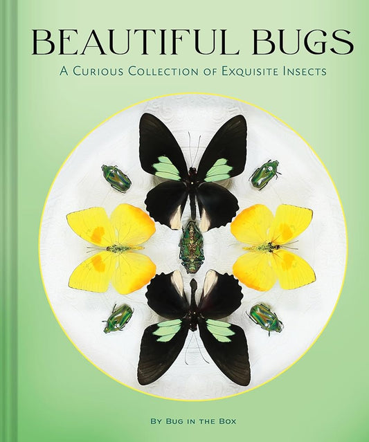 Beautiful Bugs: A Curious Collection of Exquisite Insects cover image