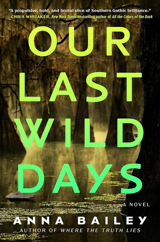 Our Last Wild Days: A Novel cover image