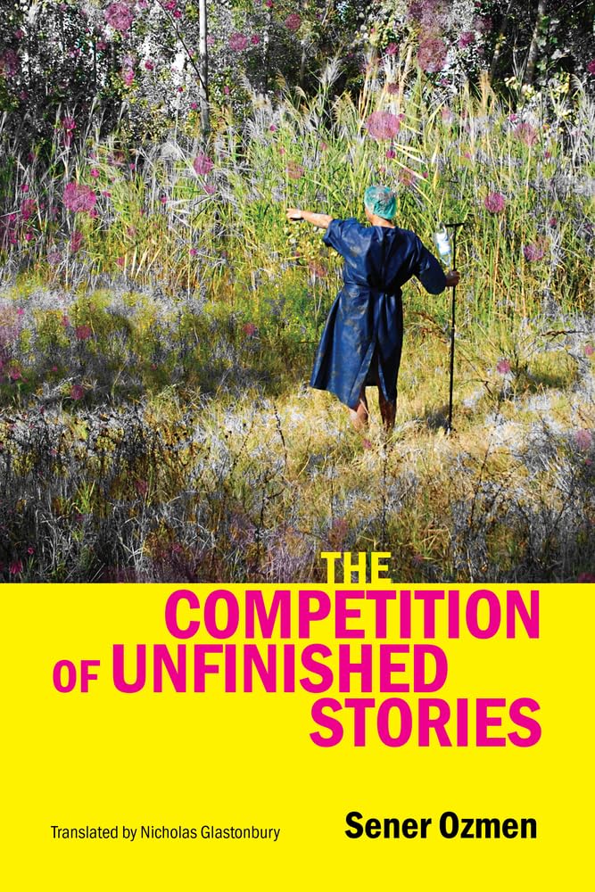 The Competition of Unfinished Stories cover image