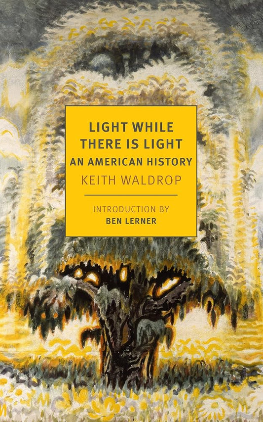 Light While There is Light: An American History cover image